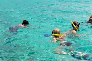 Roatan VIP Free-Style Private Tour