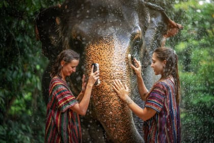 Phuket: Walk With Elephants Experience