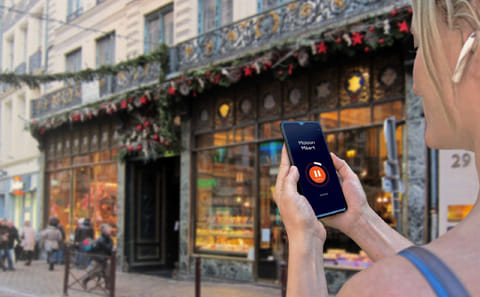 Lille Audio Guided Walking Tour with 22 Insights