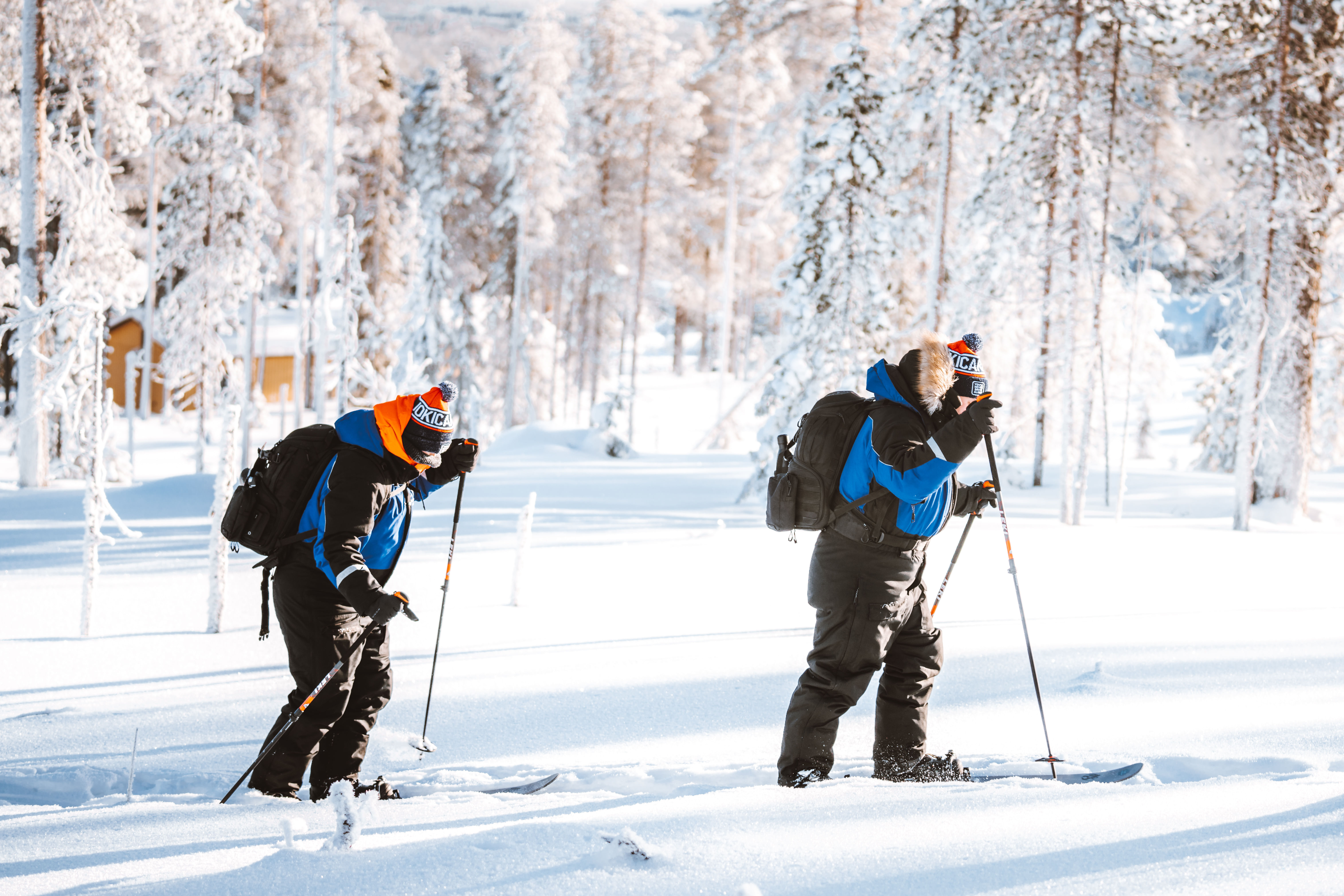 Ski Trekking Experience in Lapland