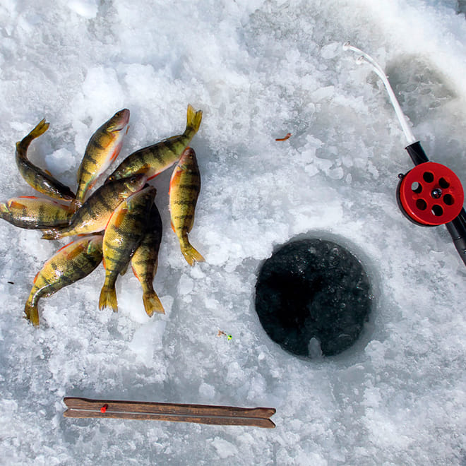 Ice Fishing Adventure