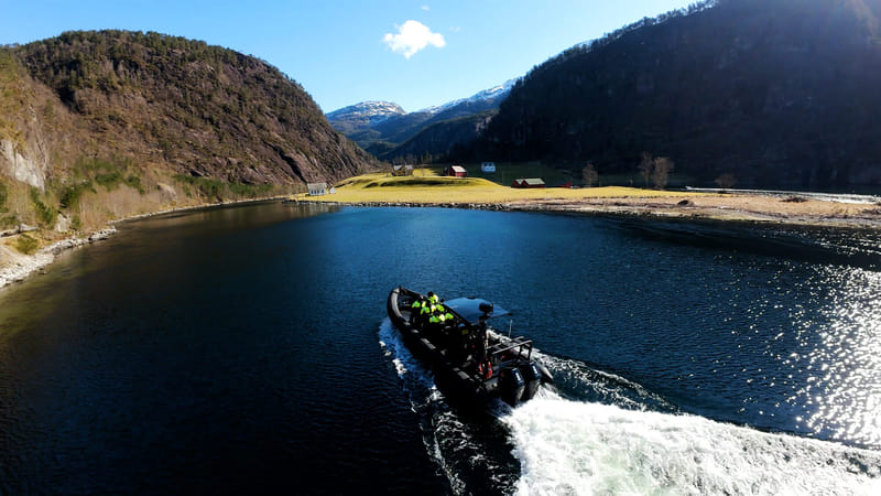 Mostraumen Fjord Safari - by Premium RIB Boat