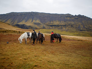 Mountain & Ocean Tour, photo 13