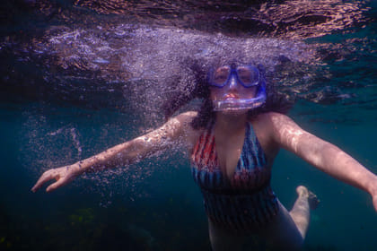 Private Snorkeling Tour of Sydney's Bronte-Coogee Reserve