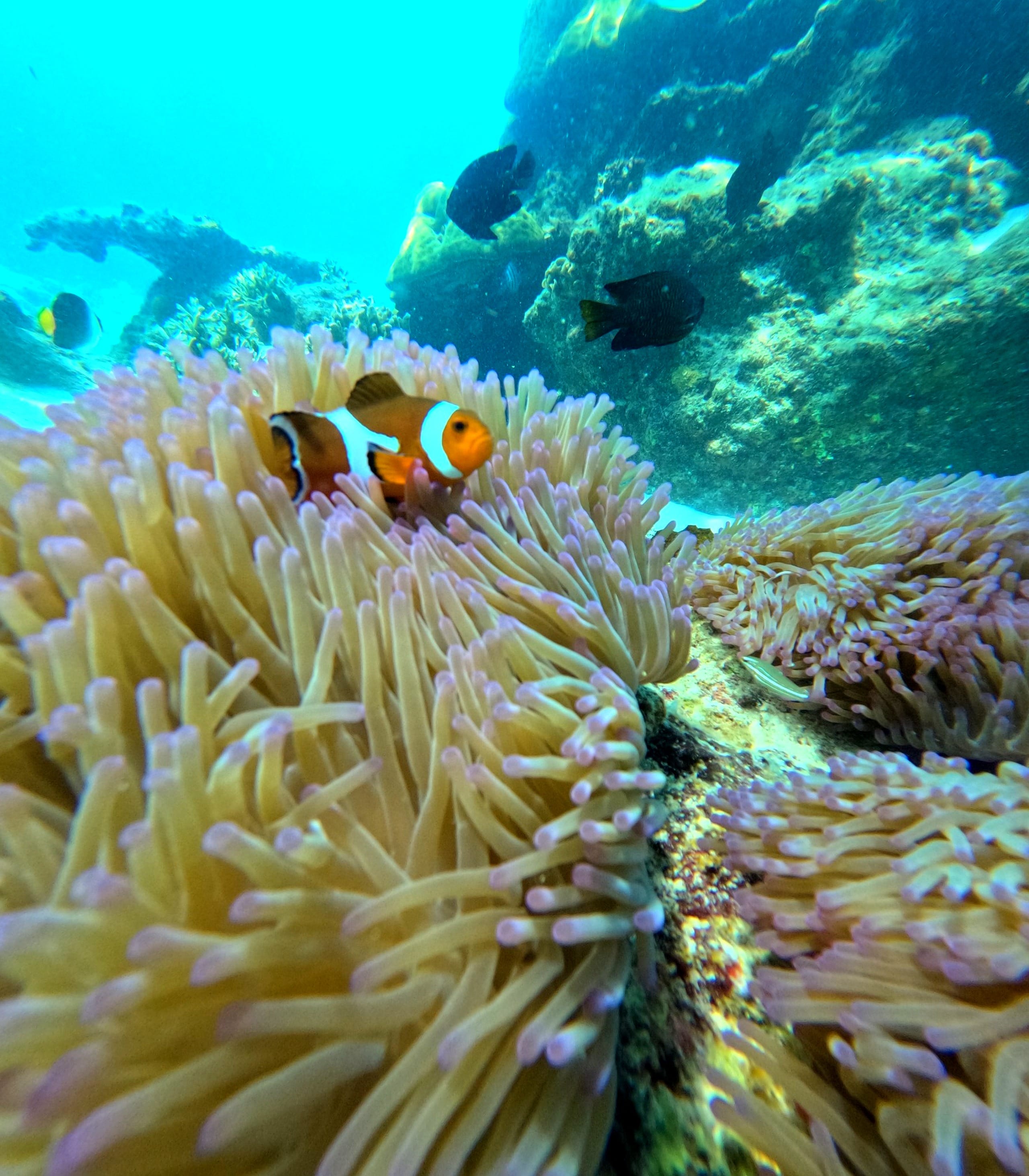 Just me, the sea, and peace