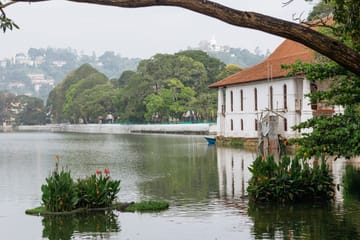 4 Day Exprience in Sri Lanka