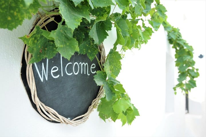 Vip Tour Giza pyramids, sphinx with Camel Ride and Vip lunch