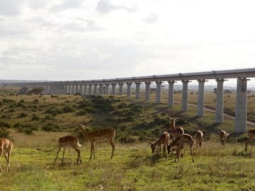 Nairobi National Park Group Shared Tour