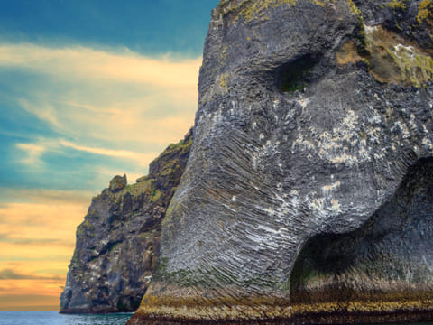 Full Day Private Vestmannaeyjar Tour From Reykjavik, photo 5