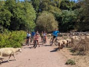 Appia Antica and Catacombs by ebike: guided tour with Private Transfer from Circus Maximus 7