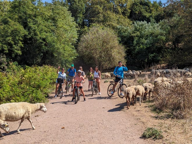 Appia Antica and Catacombs by ebike: guided tour with Private Transfer from Circus Maximus 7