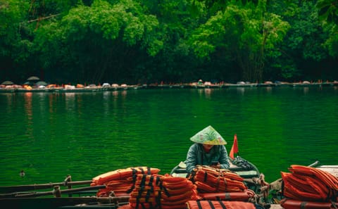Ninh Binh Nature and History Tour from Hanoi: Hoa Lu and Trang An