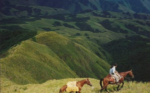 Full-Day Tour of Tafí del Valle and Quilmes Ruins from Tucumán