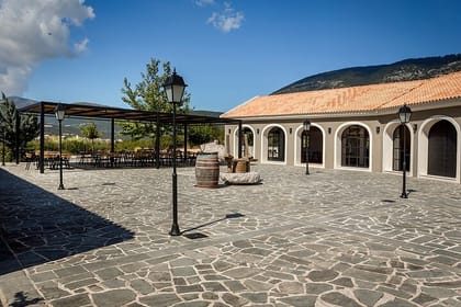 Kefalonia Wine Adventure with 18 Wine Tastings in 3 Wineries