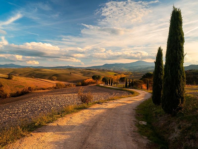 Panoramic view of one of the typical landscapes in Val d'Orcia