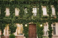 Le Marais and Seine River Dinner Cruise with Hotel pick up in Paris- 6 Hrs  8
