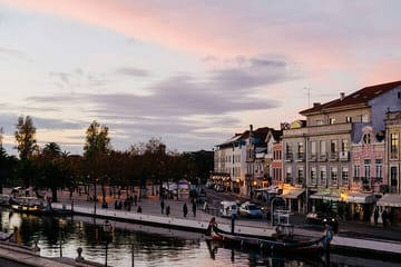 Aveiro and Costa Nova Full-Day Tour from Porto