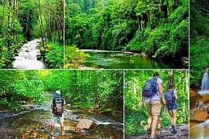 Sinharaja Rain Forest Tour from Tangalle