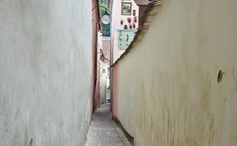 Brașov Old Town Walking Tour with Historical Insights