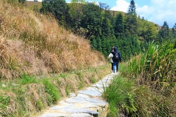 Longji Rice Terraced Fields and Minority Villages Hiking Tour