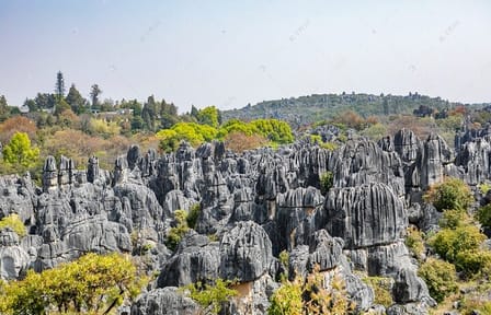 4-Day Private Tour of Kunming, Dali, and Lijiang from Shanghai