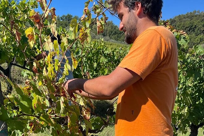 Tuscan Grape Stomping and Wine Tasting Adventure in Chianti - Photo 4