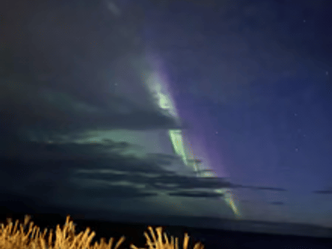 Northern Lights Small Group Tour From Reykjavik, photo 2