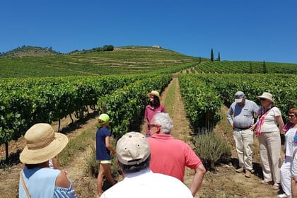 Private Tour From Porto: Douro Valley Wine Tour