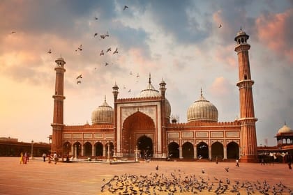 Taj, Tiger, Fort & Mansions (9 Days Private Tour)