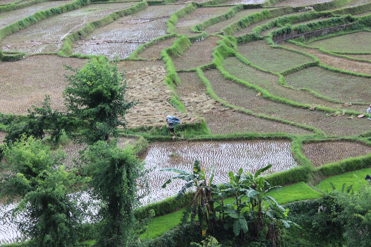 19 Days Mera Peak Climbing & Expedition – One Life-Changing Himalayan Adventure