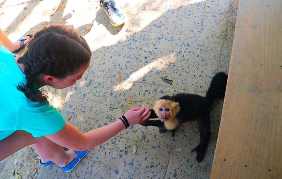 Roatan Zip-Line, Monkey Interaction, and Butterfly Sanctuary Tour