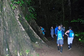 Night Hiking Adventure in Drake Bay, Costa Rica