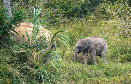 Private Day Trip to Kui Buri from Hua Hin