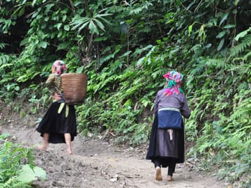 Three-Day Trekking Adventure in Ba Be, Vietnam