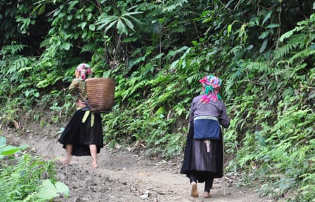 Three-Day Trekking Adventure in Ba Be, Vietnam