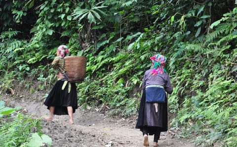 Three-Day Trekking Adventure in Ba Be, Vietnam