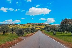 Full Day Excursion to Moura and Alqueva Dam with Boat Cruise