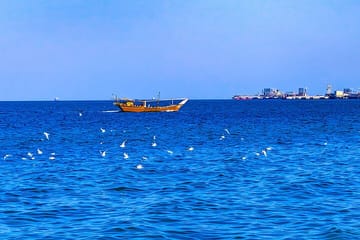 Full Day licensed Tours in Kuwait City & Desert PickUp & DropOff