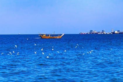 Full Day licensed Tours in Kuwait City & Desert PickUp & DropOff