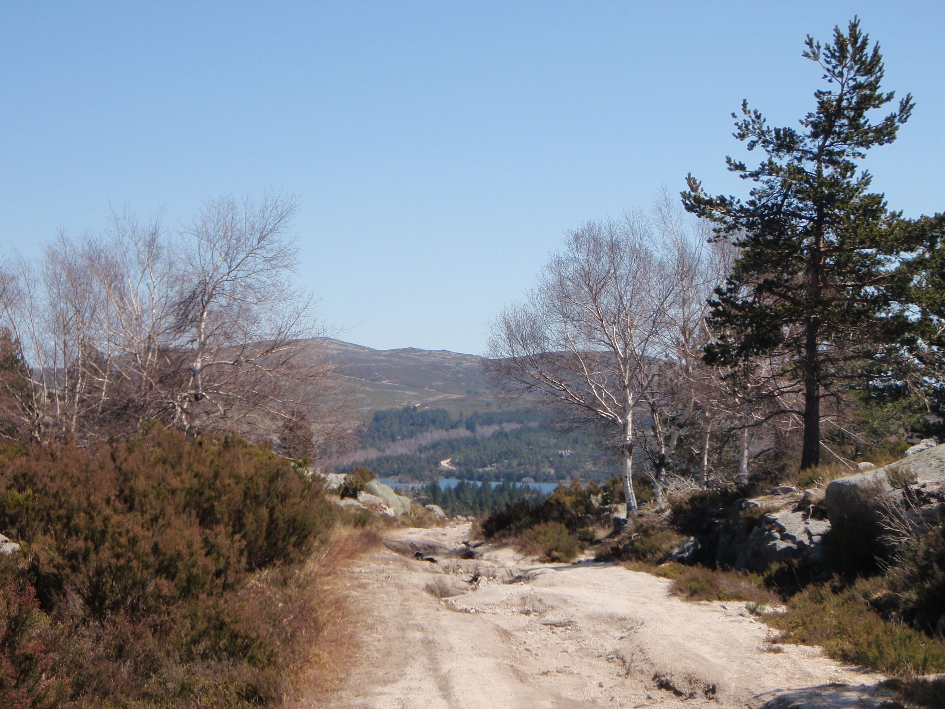 Vista del sendero del lobo entre la flora de la Serra do Alvão
