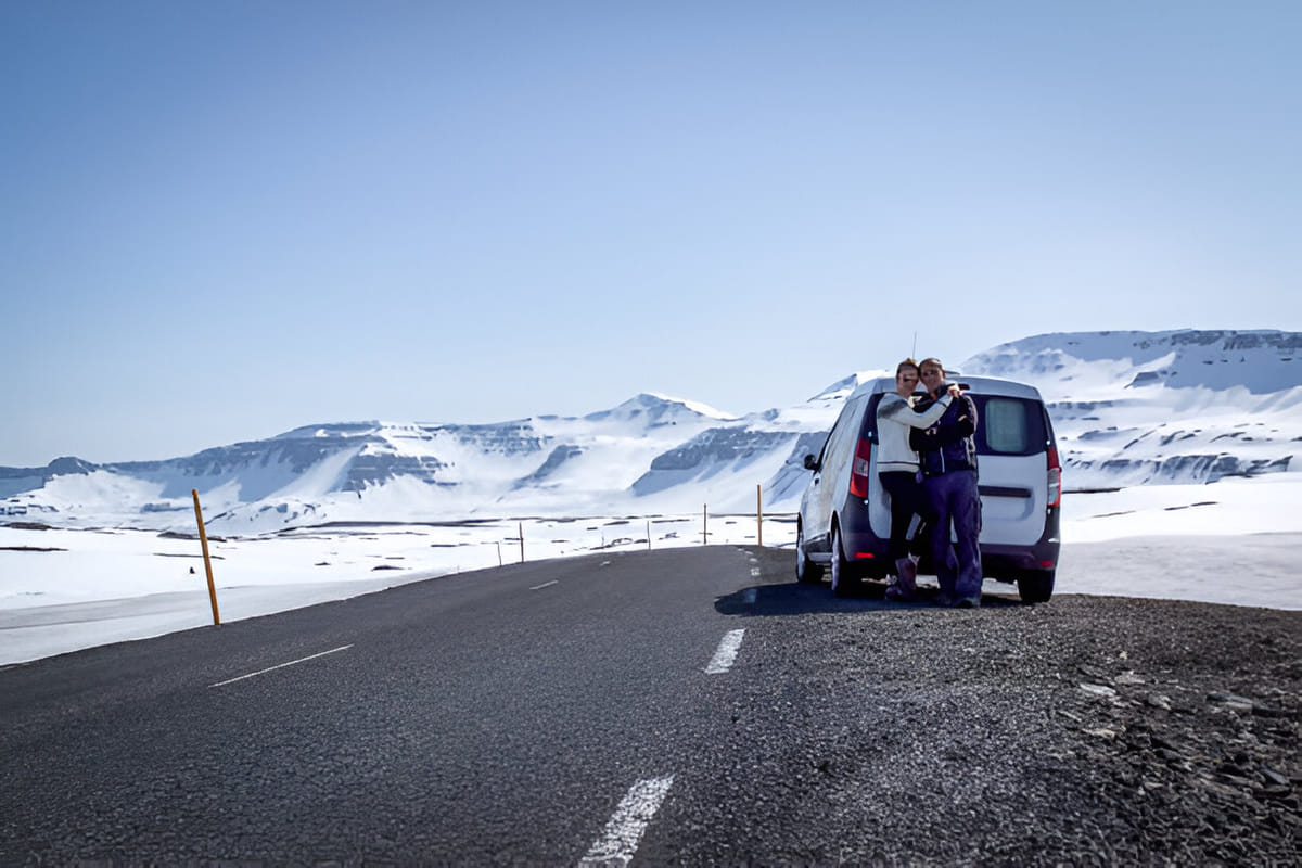 From Blue Lagoon: Private Transfer to Reykjavik in Iceland