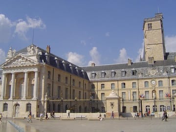 Dijon Signature Walk: Gothic Landmarks & Ducal Grandeur