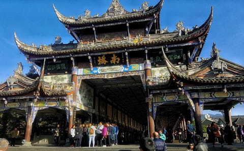 Giant Panda and Dujinagyan Irrigation 1 day tour