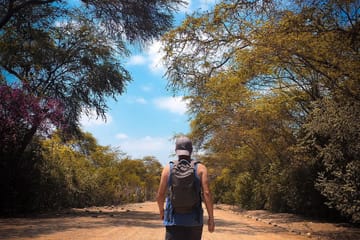 Explore Túcume Pyramids and Pomac Rainforest from Chiclayo