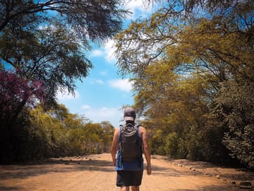 Explore Túcume Pyramids and Pomac Rainforest from Chiclayo