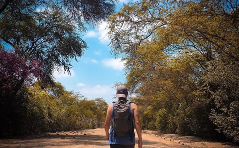 Explore Túcume Pyramids and Pomac Rainforest from Chiclayo