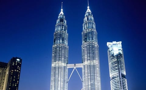 Port Klang Cruise Excursion To KL City Tour (Per Vehicle Price)