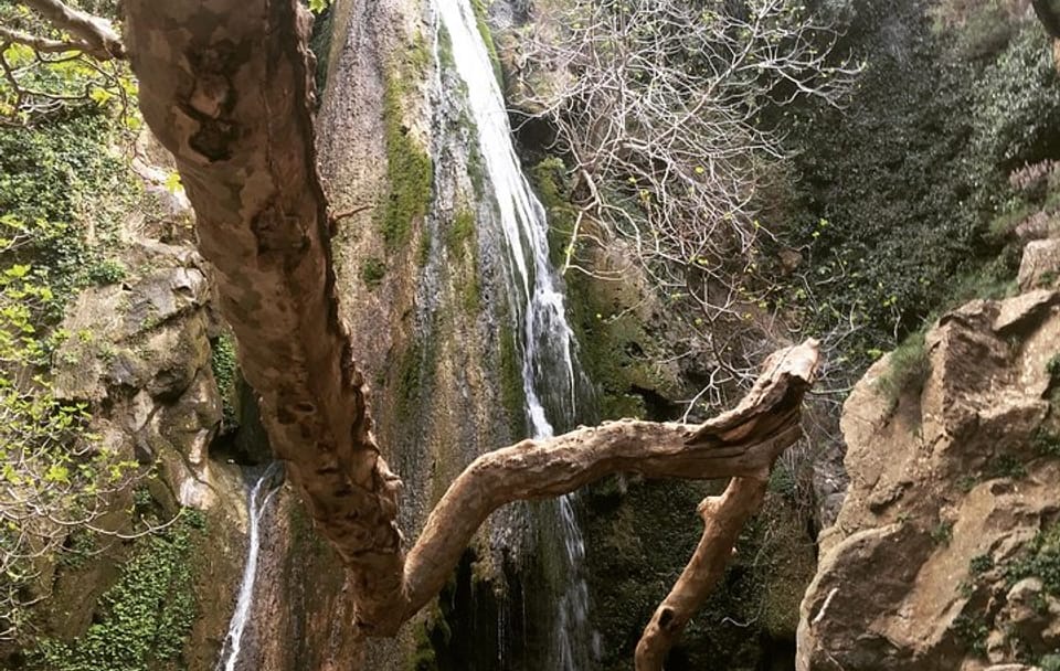 Richtis Waterfall, History, Azoria, OliveTasting, NorthCoast