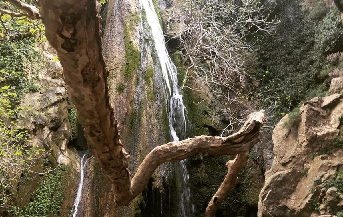 Richtis Waterfall, History, Azoria, OliveTasting, NorthCoast