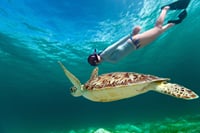 Snorkeling Day Trip & Island Tour to Nusa Lembongan & Penida 1